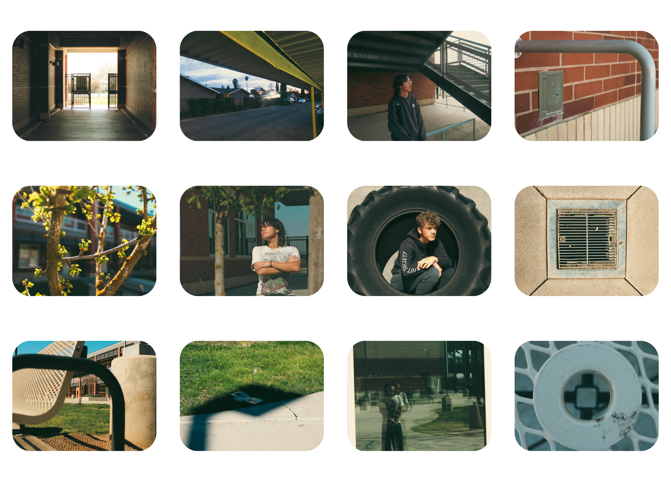 NaturalFraming Collage
