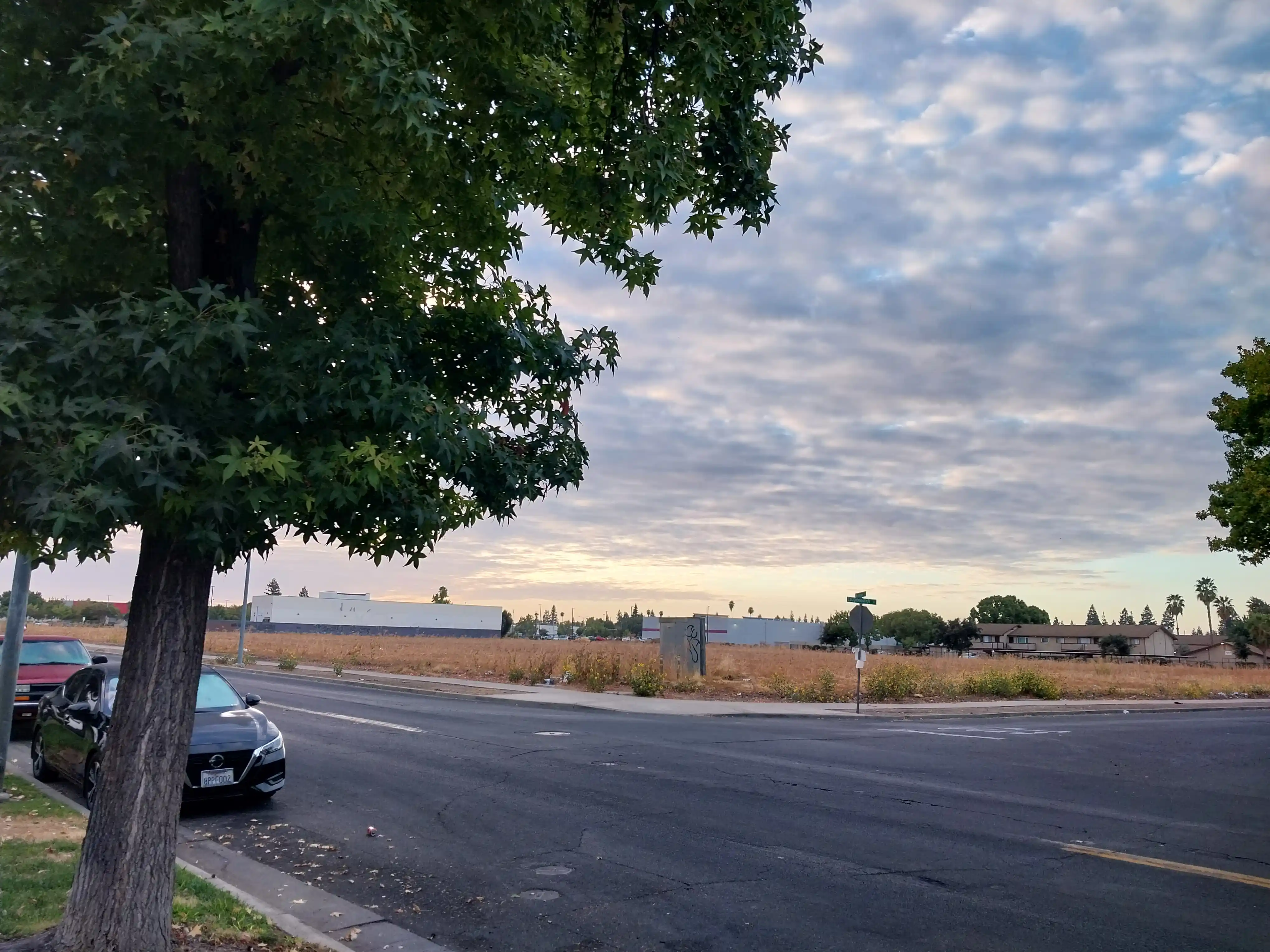 Landscape image 1 - Description TBD. Date: 2024-09-17.