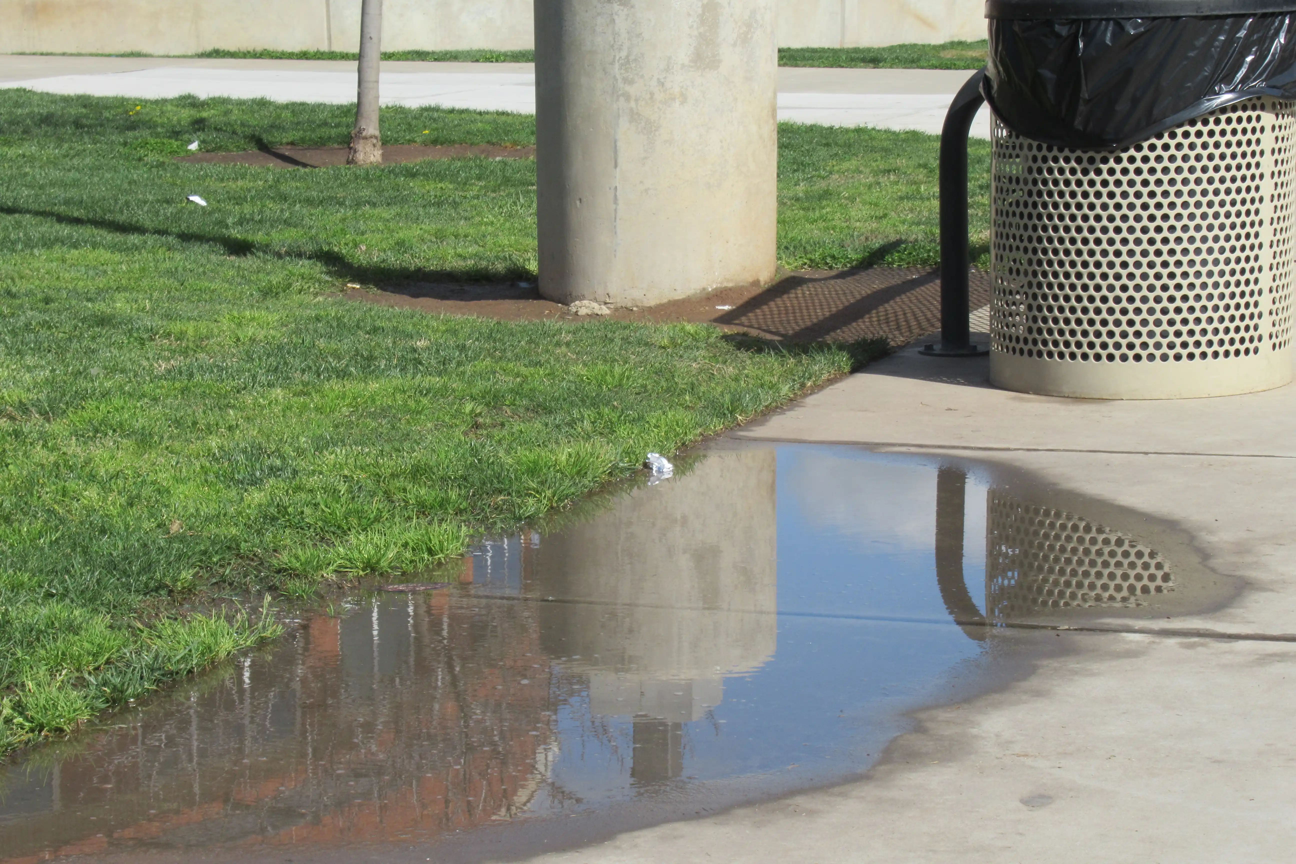 Reflections - Description TBD. Date: 2025-03-03.