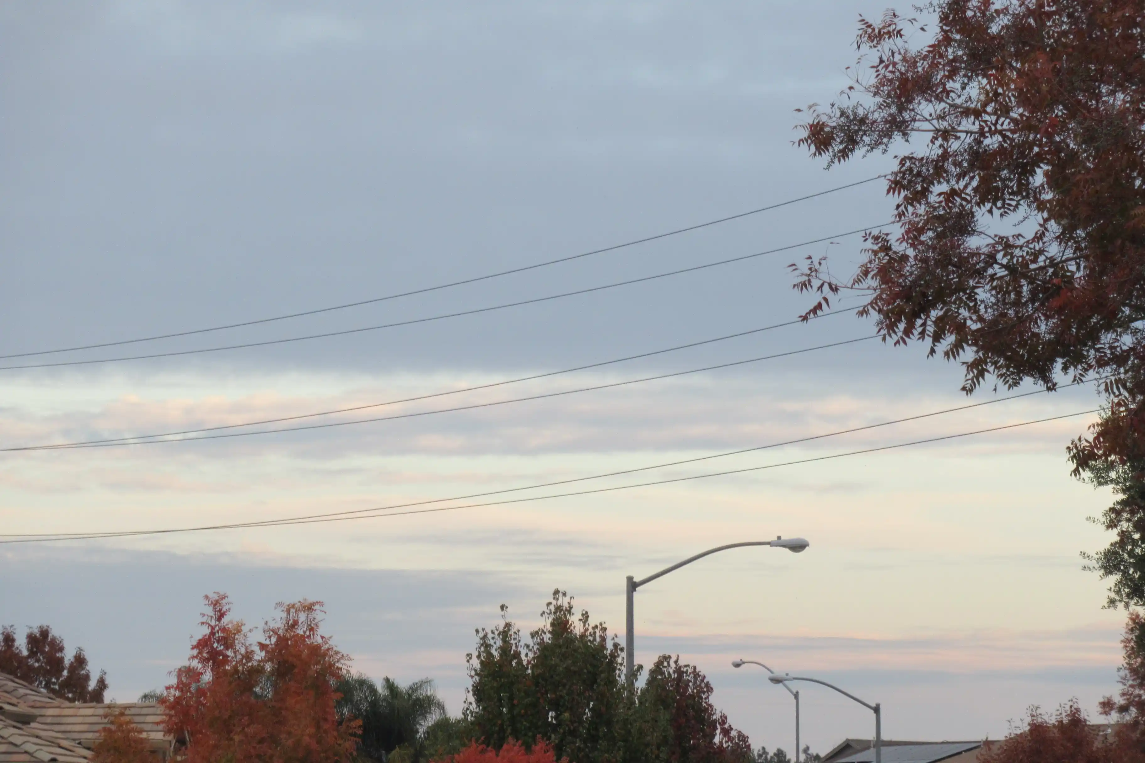 Landscape image 2 - Description TBD. Date: 2024-11-17.