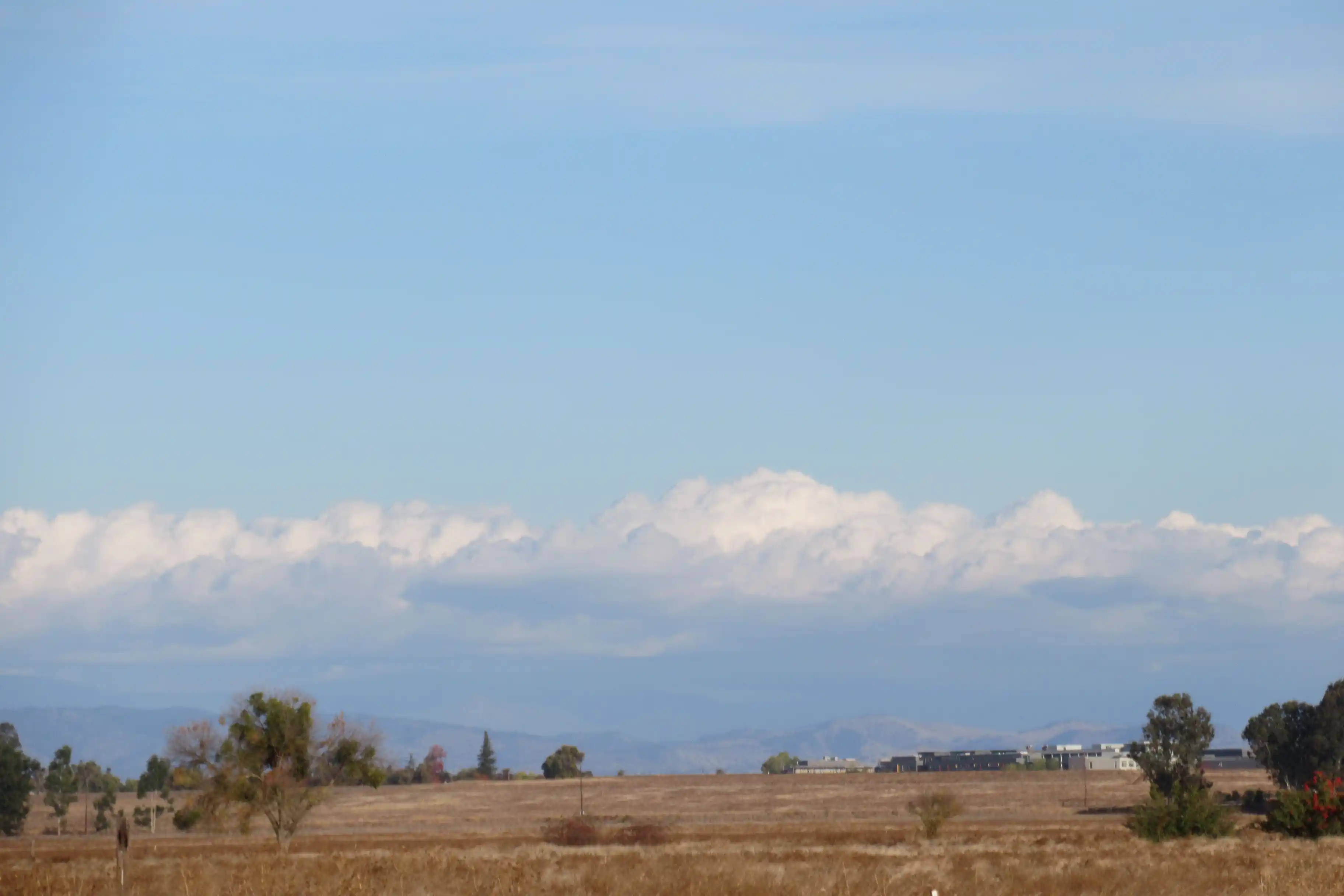 Landscape image 20 - Description TBD. Date: 2024-11-18.
