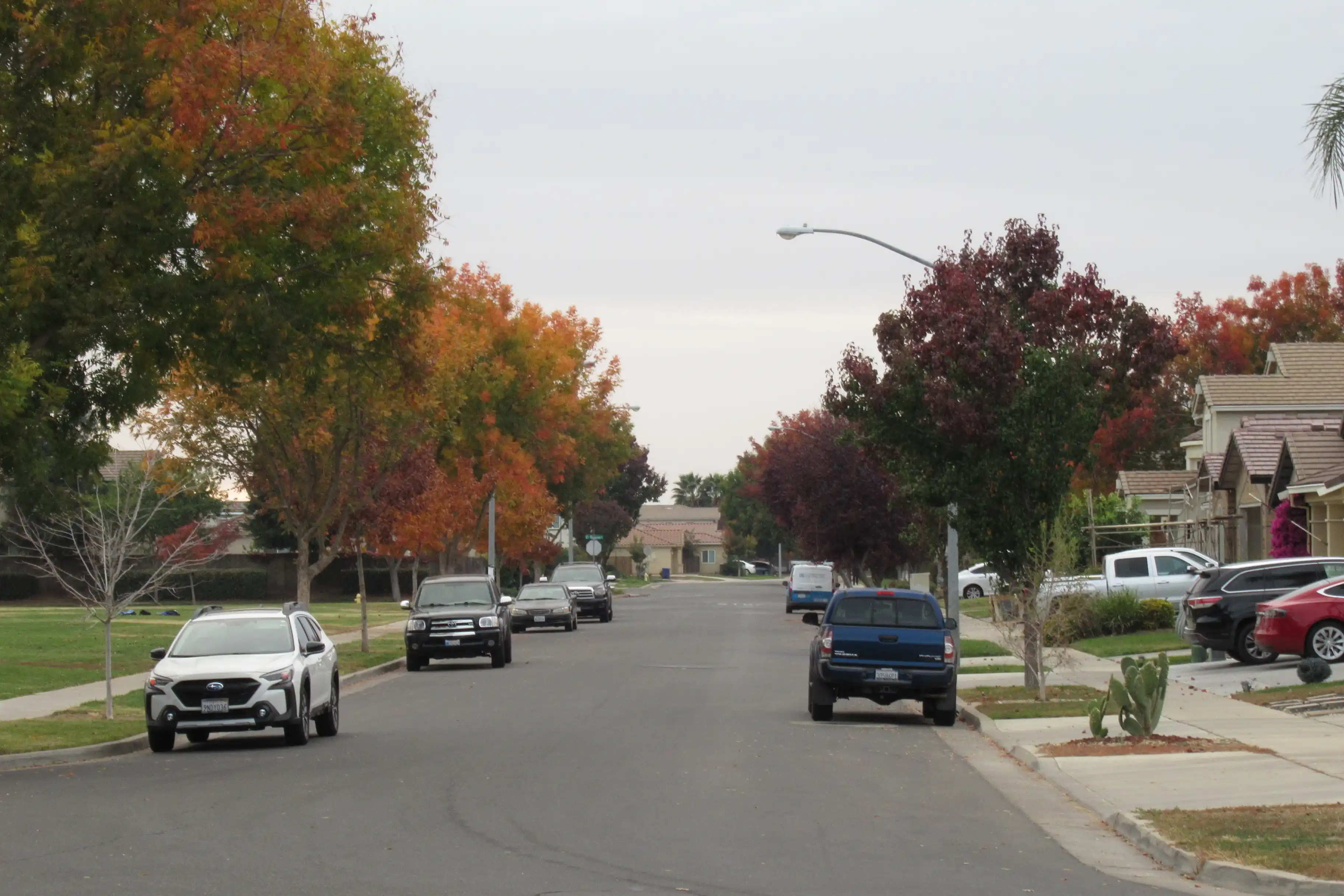Landscape image 24 - Description TBD. Date: 2024-11-17.