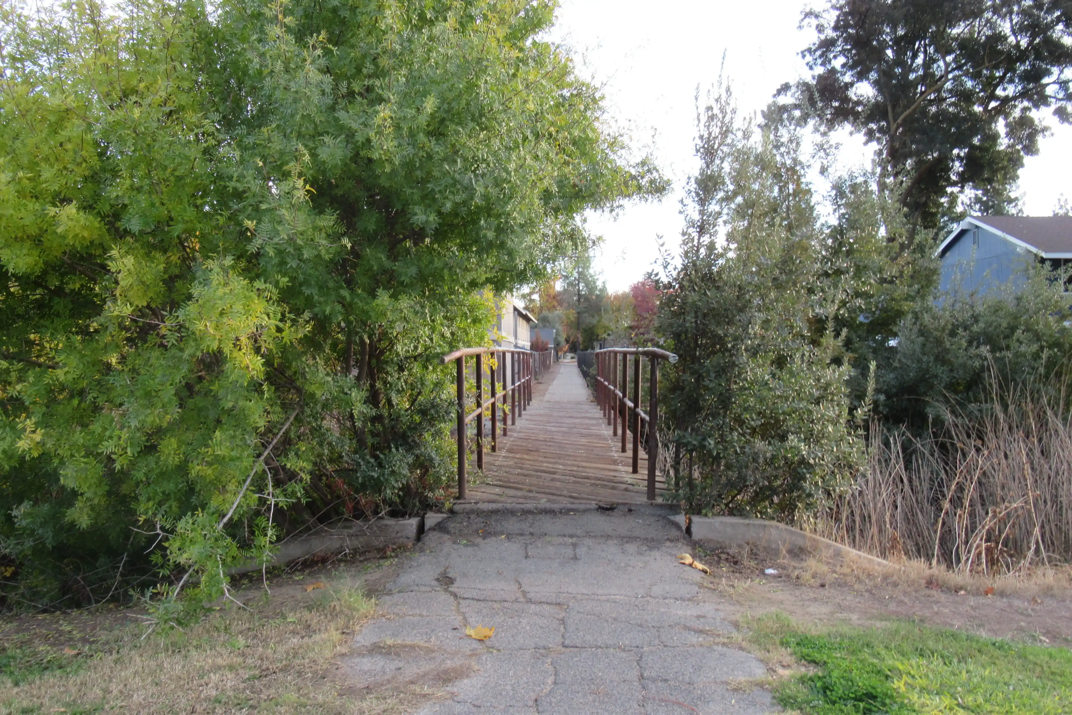 Endless Bridge - Description TBD. Date: 2024-11-18.